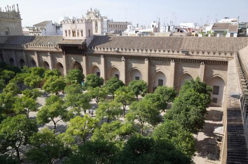 Lado norte del patio