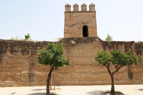 Torre y muralla vistos desde el interior de la ciudad