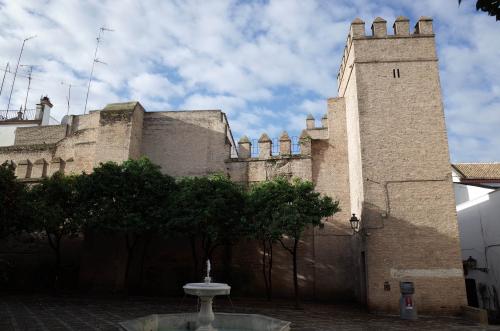 Muralla oriental de tapia del recinto del Patio de Banderas