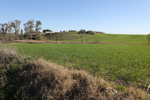 Tejada la Vieja desde el noroeste