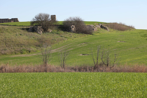 Restos de la muralla occidental de Tejada la Nueva