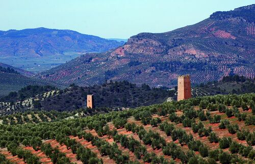 Torres norte y sur de Santa Catalina 