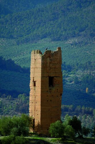 La torre norte de Santa Catalina