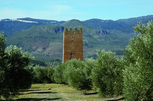 La torre sur de Santa Catalina desde el este