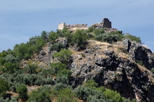 Vista general del castillo de la Espinareda