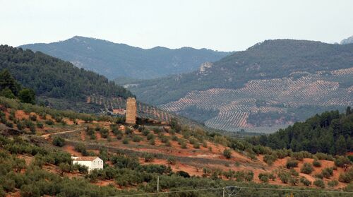 Vista general de la torre y recinto de El Cardete