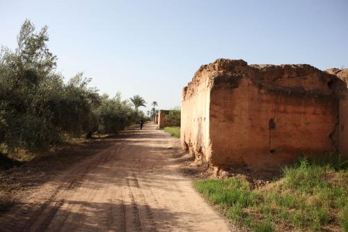 Muralla oriental del recinto de Dār al-Hanāʾ