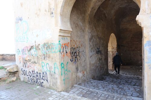 Detalle de la puerta de acceso al interior de la medina de la Bāb al-Ŷāmaʿ de Taza