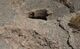 Una de las bocas de la cisterna de Sidi Bu Othman mostrando la impronta del brocal cerámico arrancado